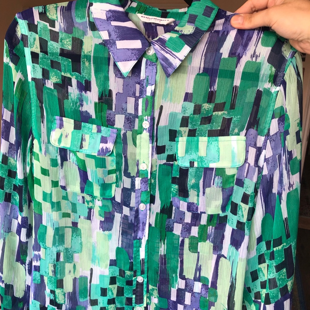 Sheer Blouse